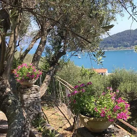 Maison Violet By Breathe Liguria *